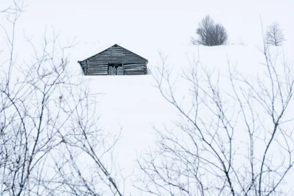 Viejo Granero Heno Madera Cubierto Nieve Medio Del Invernal Norte — Foto de Stock