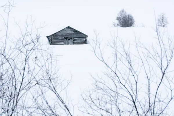 Velho Celeiro Feno Madeira Coberto Com Neve Meio Inverno Norte — Fotografia de Stock