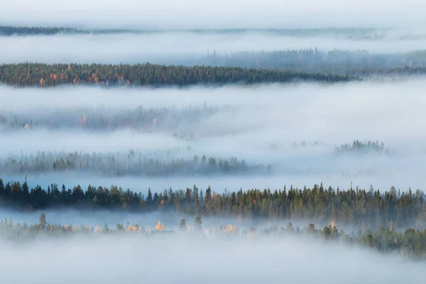 Grandes Quedas Nevoeiro Durante Uma Manhã Norte Finlândia Outono — Fotografia de Stock