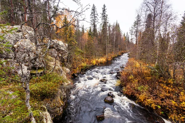 Uma Vista Para Corredeiras Fluviais Parque Nacional Outonal Oulanka — Fotografia de Stock