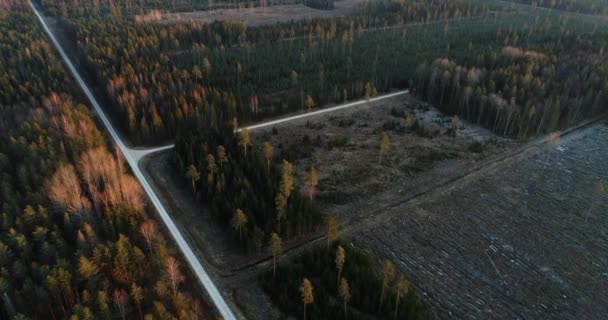 Antenn Från Liten Väg Som Går Genom Skog Med Blandskogar — Stockvideo