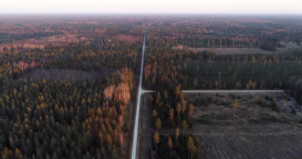 Antenna Una Piccola Strada Che Attraversa Boschi Con Foreste Miste — Video Stock