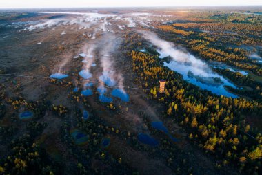 A hiking trail and a tower in Mukri bog during a foggy sunrise in summer, Estonian nature