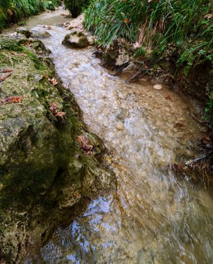 Dar bir akarsu kanalının dikey görüntüsü kireçtaşı kayaları keserek temiz su ile yeşil bir ormandaki çerçevenin dibine doğru hızla akıyor.