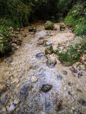 Renkli çakıl taşlarıyla dolu sığ bir dere yatağının yüksek açılı görüntüsü ve yeşil ağaçlık bir alandan akan temiz suyla dağılmış kayalar.