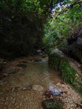 Karanlık gölgeli orman akıntısı ağaçların yoğun gölgesinde süzülüyor güneş ışığı yaprakların arasından süzülüyor ve benekli bir ışık efekti oluşturuyor.