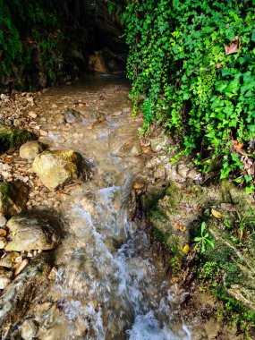 Dar kayalık bir geçitten akan dere kanyon duvarlarından sarkan yeşil sarmaşıklar ve taşların üzerinden akan berrak su dinamik bir bileşim oluşturuyor.