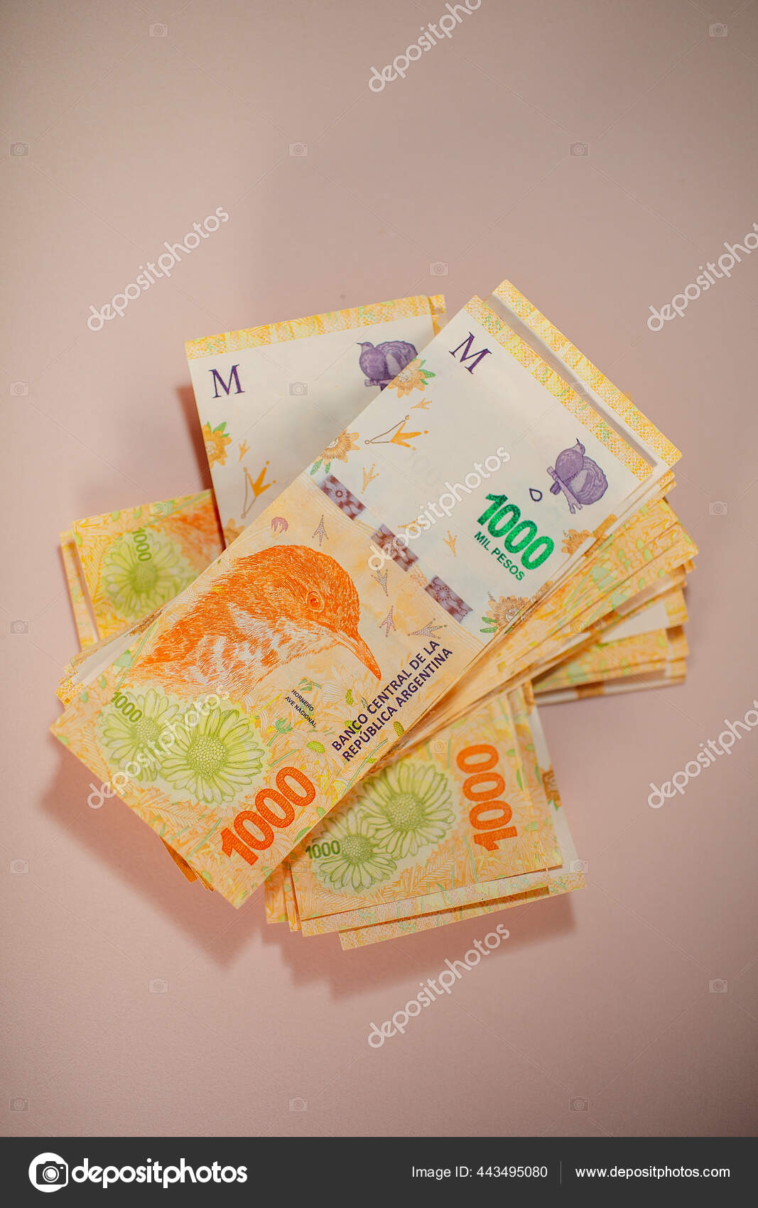 000阿根廷比索的新钞票——图库图片© RoxiRosita #443495080