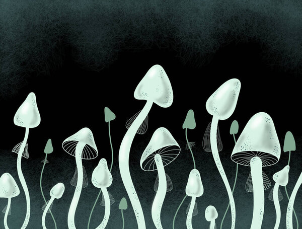 бледные жабы на черном фоне