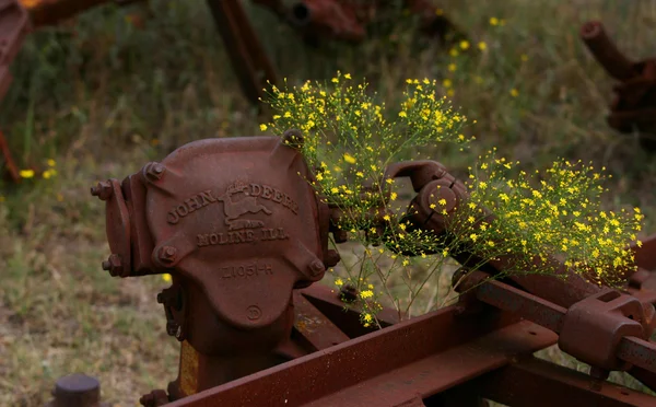 John Deere Vintage Logo (1912-1935) Z1051-H ve çiçekler