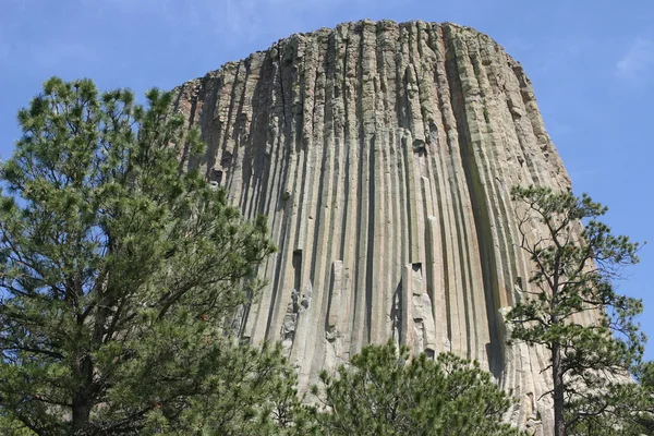 Şeytan Kulesi ve ağaç