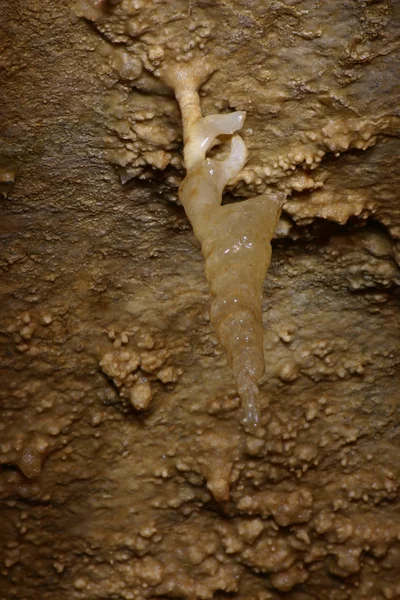 インナーの洞窟 Helictite — ストック写真