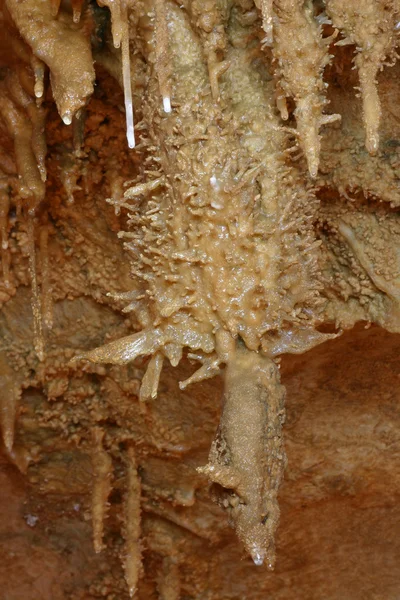 Многофункциональный геликтит — стоковое фото