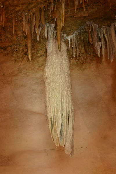 Stalagtite chobotnice — Stock fotografie