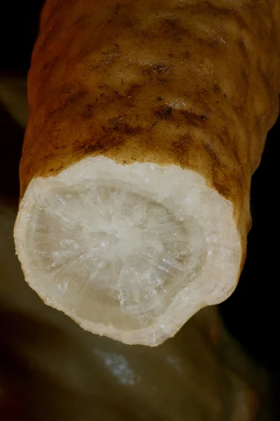 Stalactite Inner Ring Pattern Crystalization — Stock Photo, Image