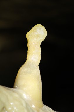 Cave Penis clipart