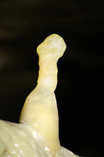 Penis mağara
