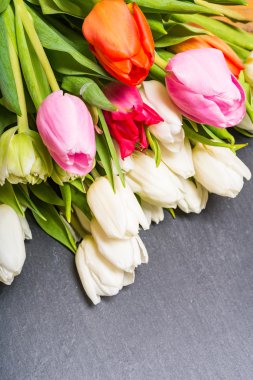 Yıldönümü beyaz pembe kırmızı tuilp çiçek buketi gri backgrou üzerinde