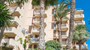 Büyük otelin önündeki büyük palmiye ağaçları