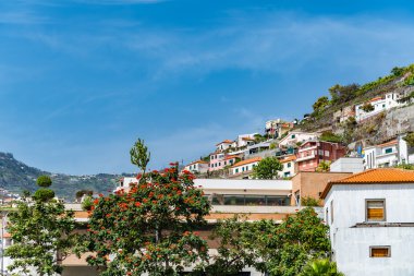 Atlantik Okyanusu Adası görünümü Vadisi Madeira Portekiz