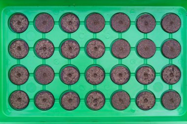 Gök olayları görüntülemek birçok kuru ekici turba briketler yeşil tablet