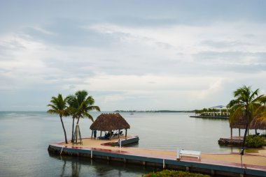 Havadan görünümü florida plaj şezlong mavi gökyüzü ile