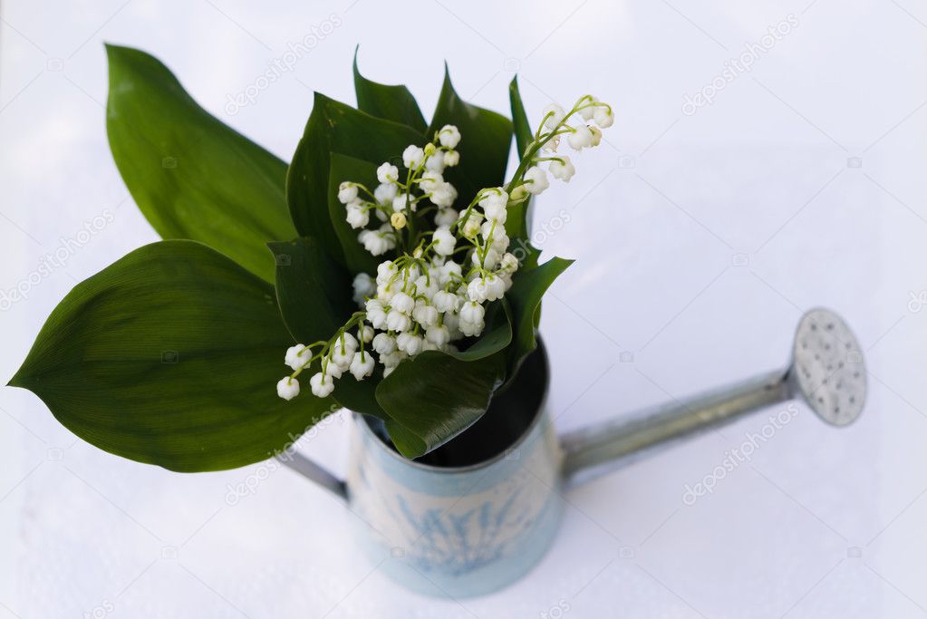 Aerial view bouquet of lily of the valley watering can