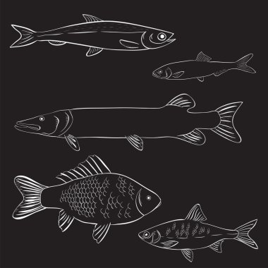 Nehir balıklar el çekilmiş