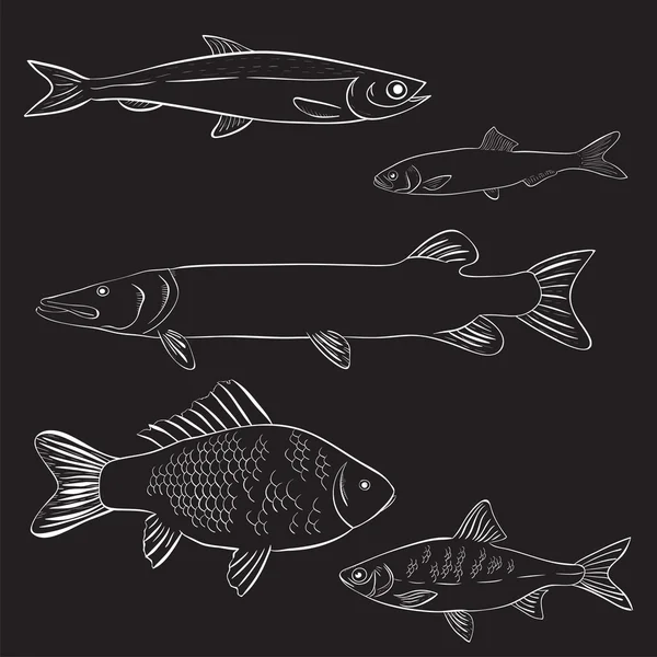 Poissons de rivière dessinés à la main — Image vectorielle