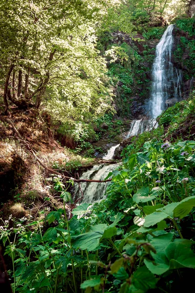 The Xiblu waterfall is located in the Montegrande beech forest in the municipality of Teverga, Asturias, Spain.The photograph is taken in vertical format.