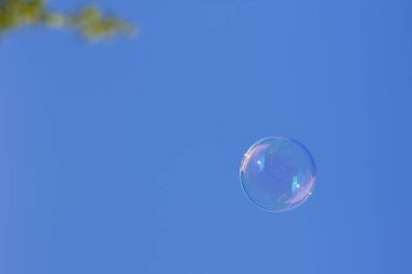 Soap bubble flying in the air over a blue sky.Photography is intended to reflect a concept and has a lot of copy space to put text or whatever you want.The photo is taken in horizontal format.