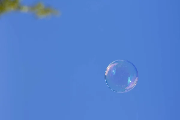 Soap bubble flying in the air over a blue sky.Photography is intended to reflect a concept and has a lot of copy space to put text or whatever you want.The photo is taken in horizontal format.