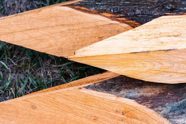 Detail Some Sharp Trunks Prepared Closing Land Photograph Taken Horizontal — Stock Photo, Image