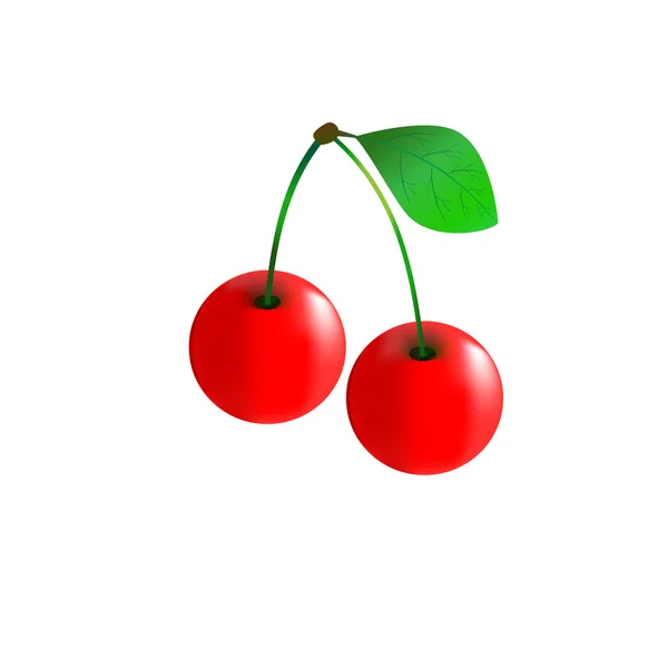 Cherry — Stock Vector