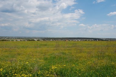 Yaz çiçeklenme alan