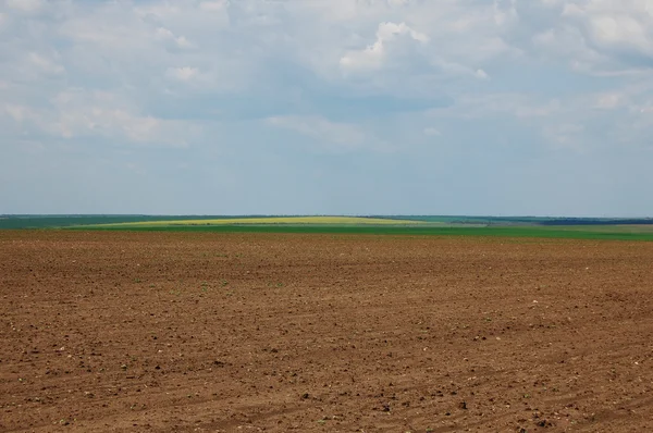 Mavi gökyüzü olan alan