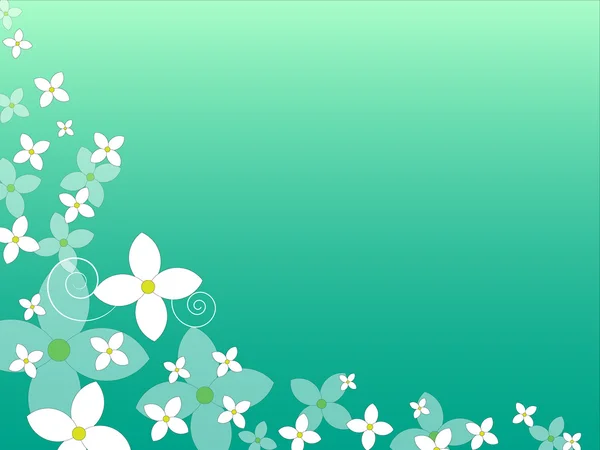 Floral background — Stock Photo, Image