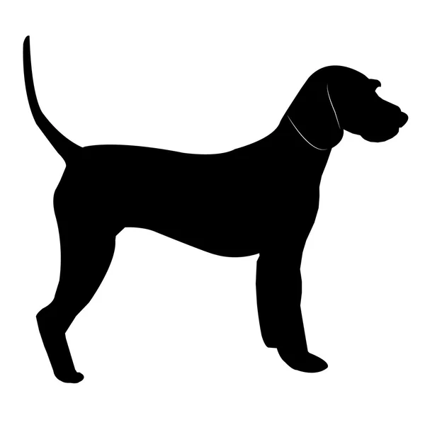 Silueta de perro — Vector de stock