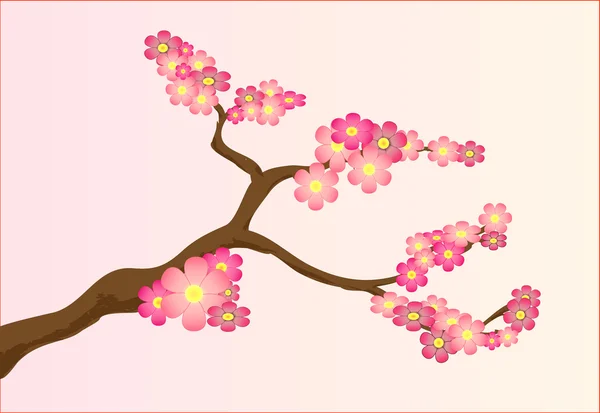 Körsbär blommor — Stock vektor