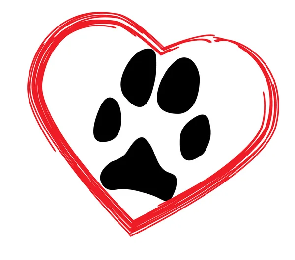 köpek pençedetail van achterlicht 