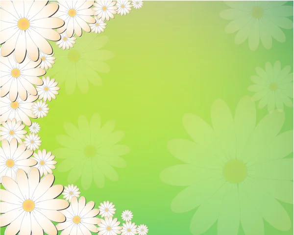 Floral background — Stock Vector