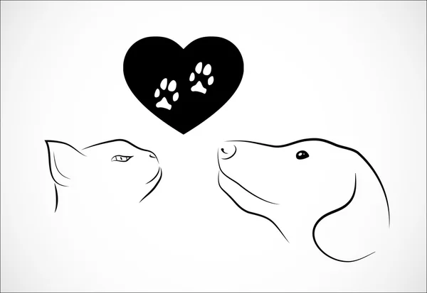 kedi ve köpek ihtiyacı aşk