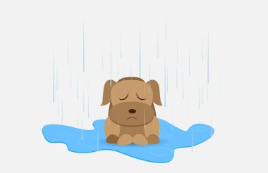 Evsiz köpek illüstrasyon
