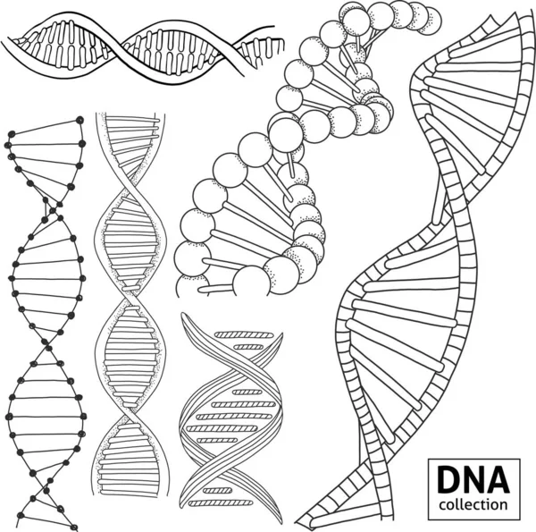 Комплект с ДНК-структурой, нарисованной вручную. — стоковый вектор