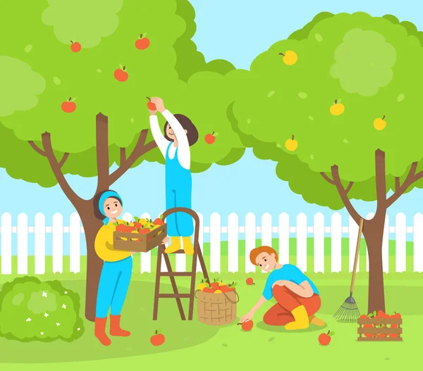 Lidé sbírají jablka na dvorku. — Stockový vektor