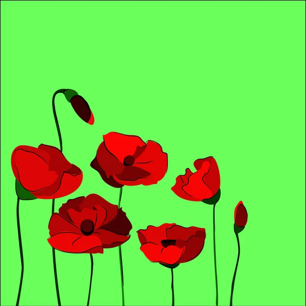 Red poppies — Stock Vector