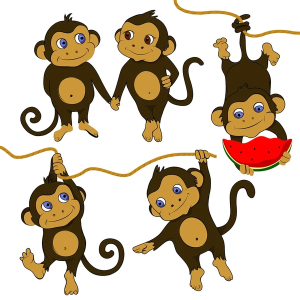 Małpy zabawny zestaw — Wektor stockowy