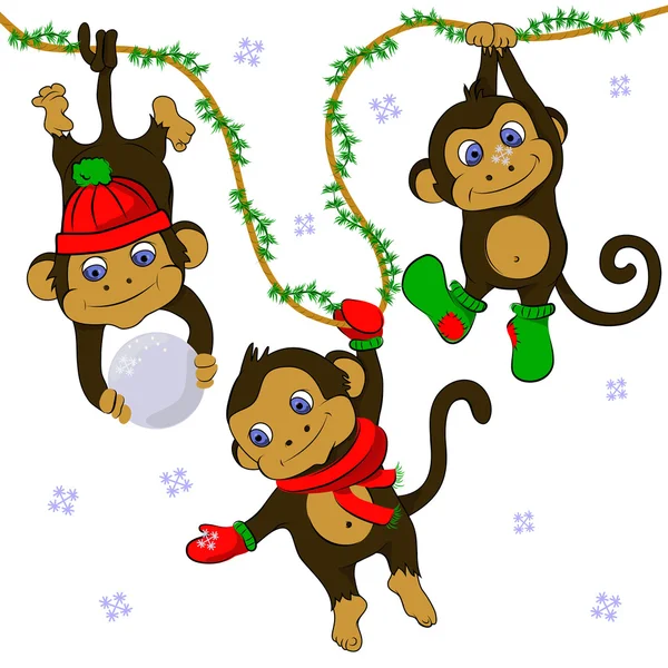 Funny monkeys in winter set — Stockový vektor