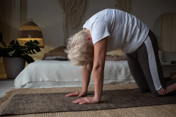 Caucasian woman on mat doing cat stretch posture for spine. — Stock Photo, Image