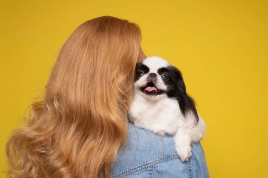 Sadık kadın kucağında ve evcil köpeğini rahatlatıyor.